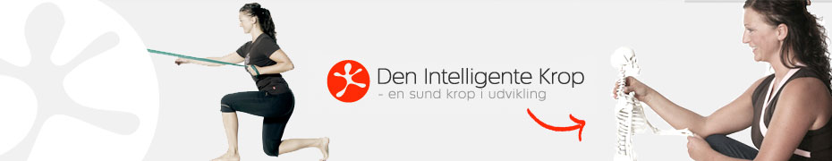 Den IntelligenteKrop.dk