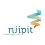 Niipit